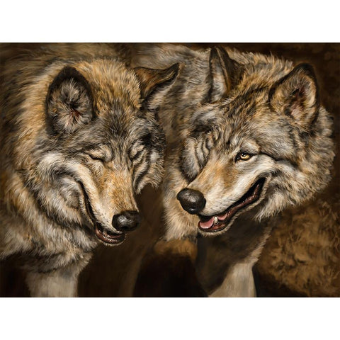 Two Wolves White Modern Wood Framed Art Print by LaMontagne, Patrick