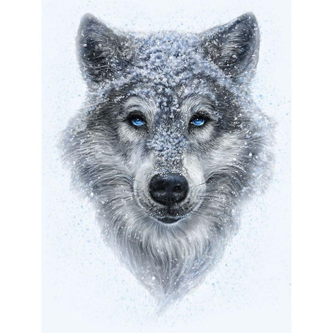 Winter Wolf White Modern Wood Framed Art Print by LaMontagne, Patrick