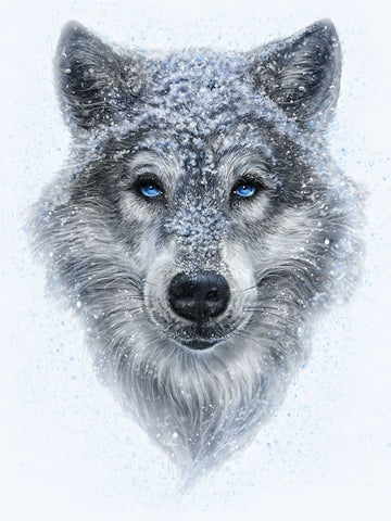 Winter Wolf White Modern Wood Framed Art Print with Double Matting by LaMontagne, Patrick