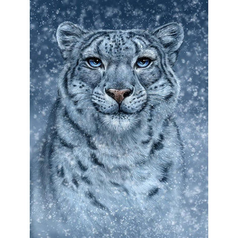 Snow Queen Black Modern Wood Framed Art Print with Double Matting by LaMontagne, Patrick