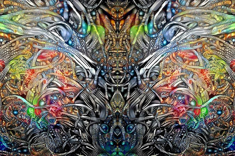 King of the Crickets White Modern Wood Framed Art Print with Double Matting by Gavidia, Pedro