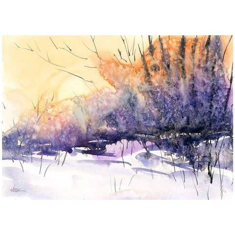 Frost Bite Black Modern Wood Framed Art Print by Randy Noble Fine Art