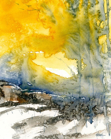 Winters Sun Black Ornate Wood Framed Art Print with Double Matting by Randy Noble Fine Art