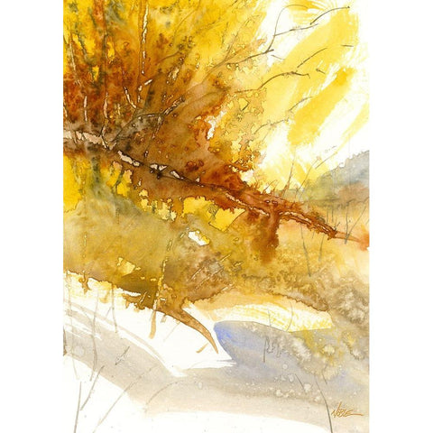 Morning White Modern Wood Framed Art Print by Randy Noble Fine Art