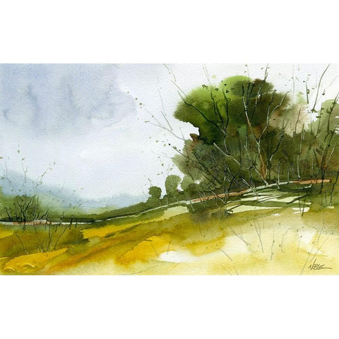 Walkers Valley Black Modern Wood Framed Art Print with Double Matting by Randy Noble Fine Art