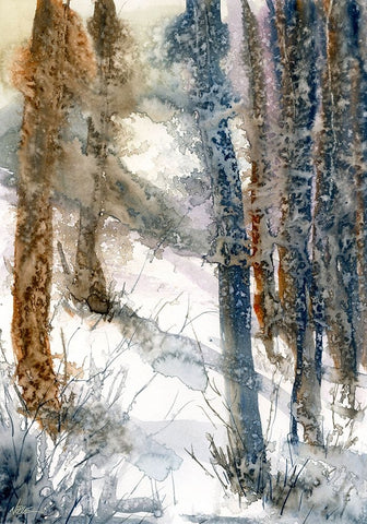 Forest Snow White Modern Wood Framed Art Print with Double Matting by Randy Noble Fine Art