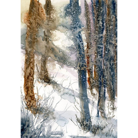 Forest Snow White Modern Wood Framed Art Print by Randy Noble Fine Art