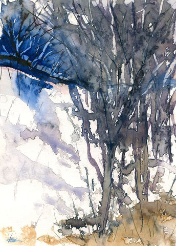 Snow Forest White Modern Wood Framed Art Print with Double Matting by Randy Noble Fine Art