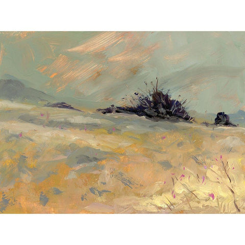 Flower Valley Gold Ornate Wood Framed Art Print with Double Matting by Randy Noble Fine Art