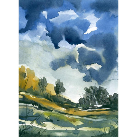 Summer Showers White Modern Wood Framed Art Print by Randy Noble Fine Art