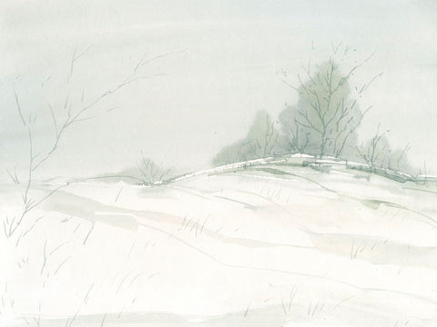 Snow Bed Black Ornate Wood Framed Art Print with Double Matting by Randy Noble Fine Art