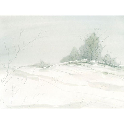 Snow Bed Black Modern Wood Framed Art Print with Double Matting by Randy Noble Fine Art