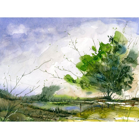 Taylors Pond Gold Ornate Wood Framed Art Print with Double Matting by Randy Noble Fine Art