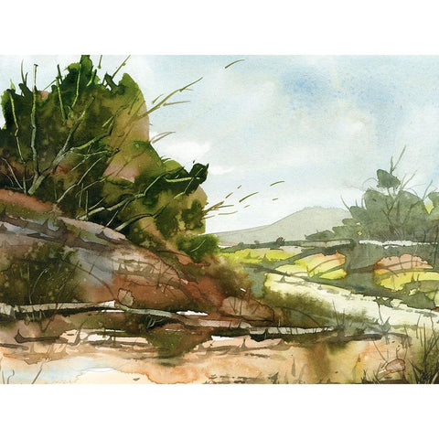 Valley Of Rivers Gold Ornate Wood Framed Art Print with Double Matting by Randy Noble Fine Art