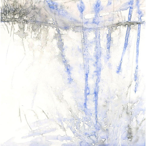 Frost Valley White Modern Wood Framed Art Print by Randy Noble Fine Art