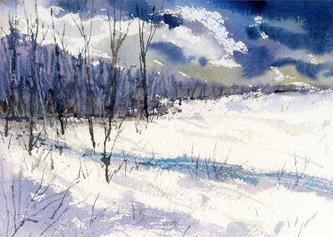 Back Trail Black Ornate Wood Framed Art Print with Double Matting by Randy Noble Fine Art