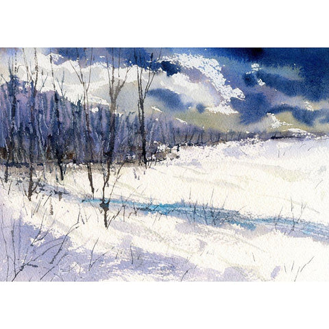 Back Trail Black Modern Wood Framed Art Print by Randy Noble Fine Art