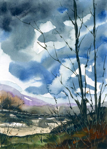 Quail Run White Modern Wood Framed Art Print with Double Matting by Randy Noble Fine Art