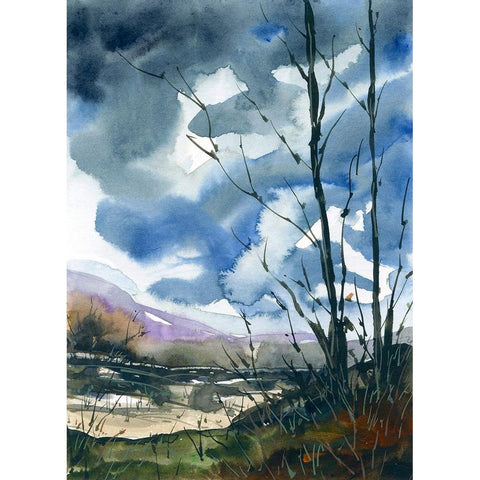 Quail Run White Modern Wood Framed Art Print by Randy Noble Fine Art