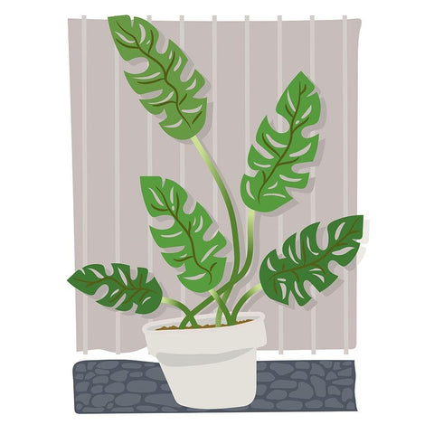 Monstera Black Modern Wood Framed Art Print with Double Matting by Randy Noble Fine Art