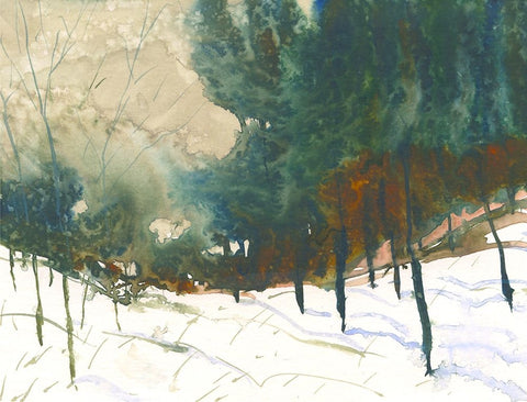 My Trail Black Ornate Wood Framed Art Print with Double Matting by Randy Noble Fine Art