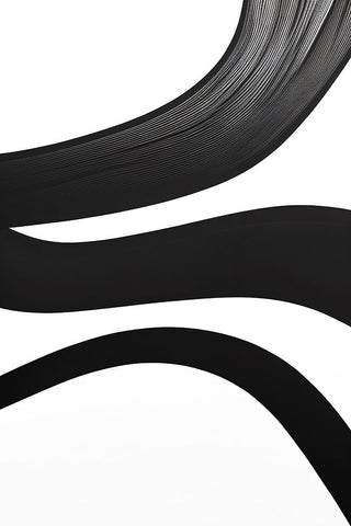 Black White Bold Strokes 20 Black Ornate Wood Framed Art Print with Double Matting by Heere, Ray