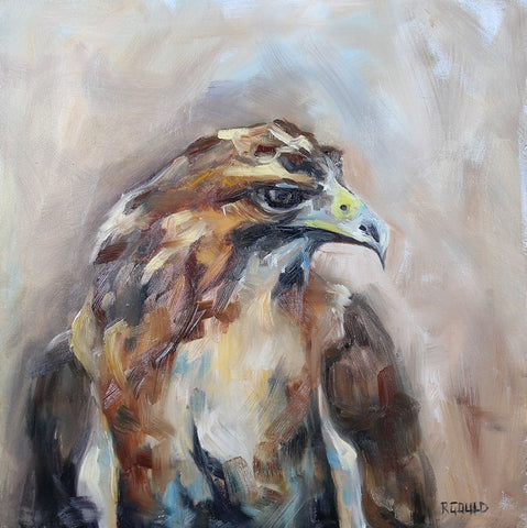 Red Tail Hawk White Modern Wood Framed Art Print with Double Matting by Gould, Renee