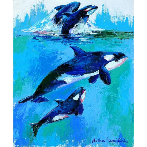 Whales Black Modern Wood Framed Art Print with Double Matting by Wallich, Richard