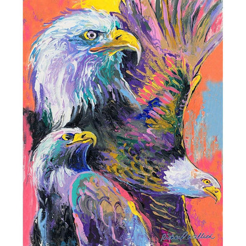 Eagle Black Modern Wood Framed Art Print with Double Matting by Wallich, Richard