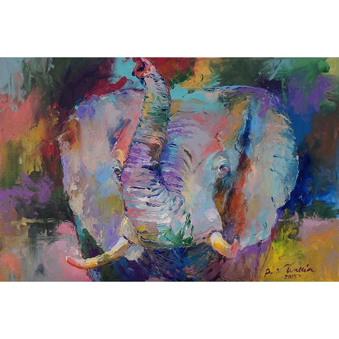 Elephant Black Modern Wood Framed Art Print with Double Matting by Wallich, Richard