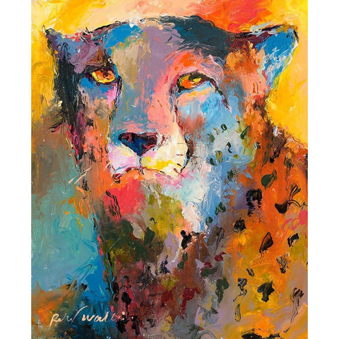 Cheetah Black Modern Wood Framed Art Print with Double Matting by Wallich, Richard