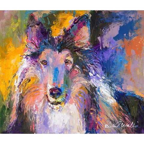 Collie Black Modern Wood Framed Art Print with Double Matting by Wallich, Richard