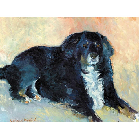 Harley Black Modern Wood Framed Art Print with Double Matting by Wallich, Richard