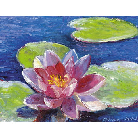 Lily Pad Flowers Black Modern Wood Framed Art Print by Wallich, Richard