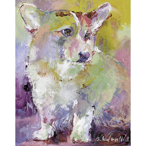 Art Corgi White Modern Wood Framed Art Print by Wallich, Richard