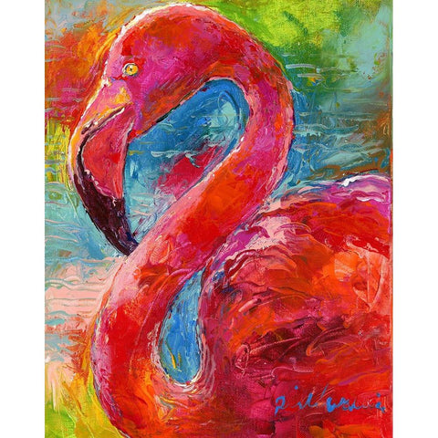 Flamingo Black Modern Wood Framed Art Print with Double Matting by Wallich, Richard