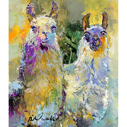 Llamas Black Modern Wood Framed Art Print with Double Matting by Wallich, Richard
