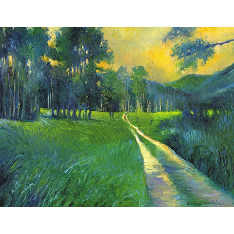 Crestone Path Black Modern Wood Framed Art Print by Wallich, Richard