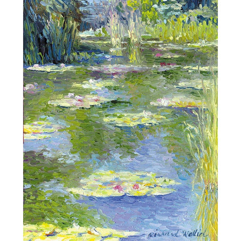 Lilies~1 Black Modern Wood Framed Art Print with Double Matting by Wallich, Richard