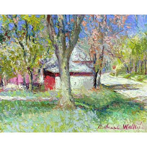 Morrison A Black Modern Wood Framed Art Print with Double Matting by Wallich, Richard