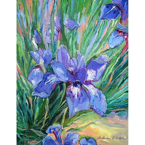 Iris White Modern Wood Framed Art Print by Wallich, Richard