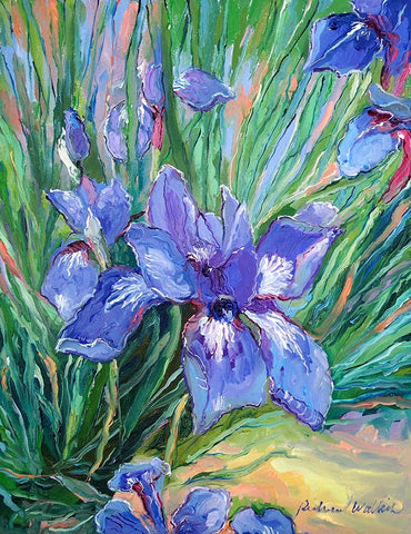 Iris White Modern Wood Framed Art Print with Double Matting by Wallich, Richard