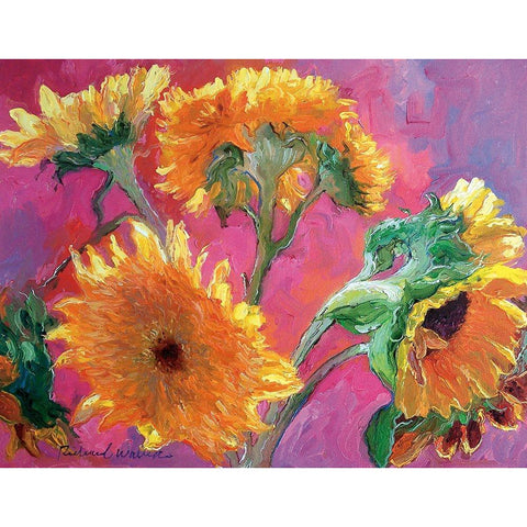 Sunflower Black Modern Wood Framed Art Print by Wallich, Richard