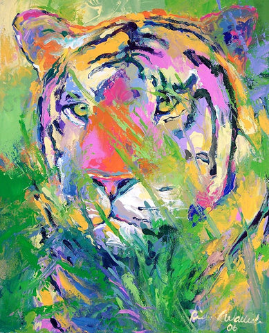 Tiger 2 White Modern Wood Framed Art Print with Double Matting by Wallich, Richard