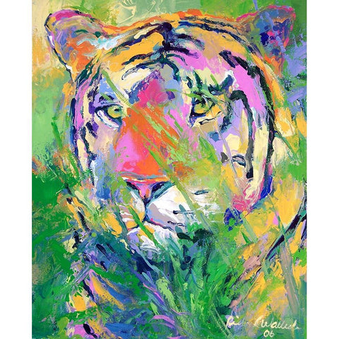 Tiger 2 Black Modern Wood Framed Art Print with Double Matting by Wallich, Richard