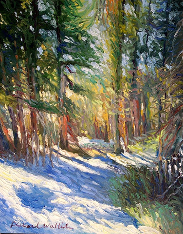 Snow Black Ornate Wood Framed Art Print with Double Matting by Wallich, Richard