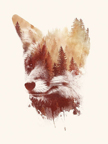 Blind Fox Black Modern Wood Framed Art Print by Farkas, Robert