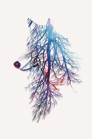 My Roots White Modern Wood Framed Art Print with Double Matting by Farkas, Robert