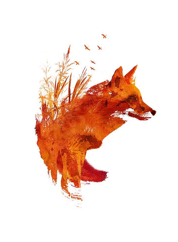 Plattensee Fox Black Modern Wood Framed Art Print by Farkas, Robert
