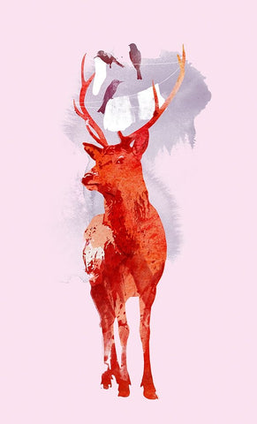 Useless Deer White Modern Wood Framed Art Print with Double Matting by Farkas, Robert